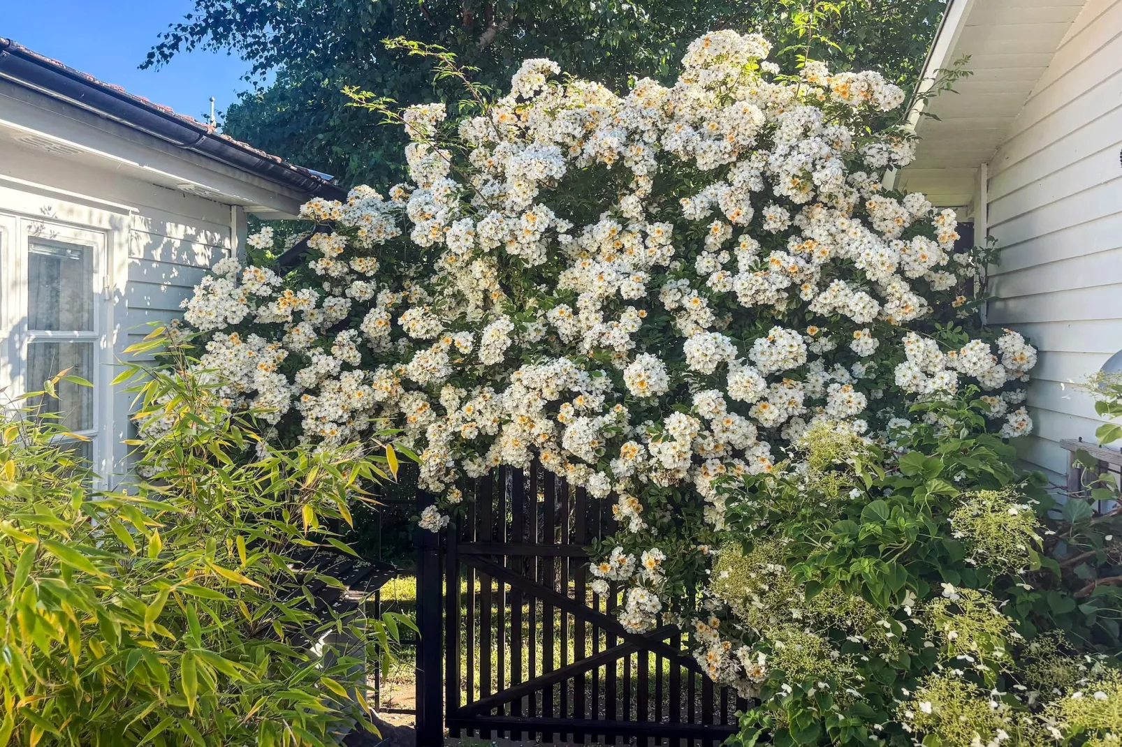 4 sterren vakantie huis in FÄRJESTADEN - Buitenlucht