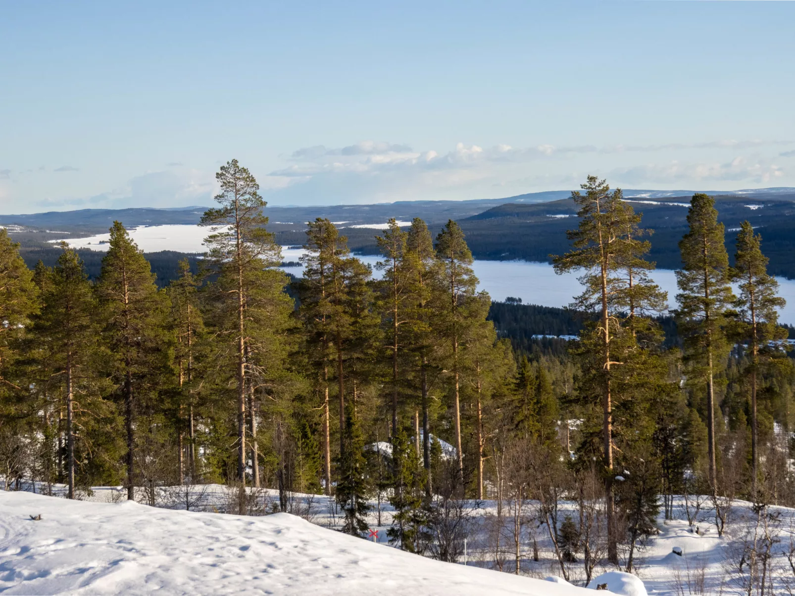 Svanhågna Gård - Buiten