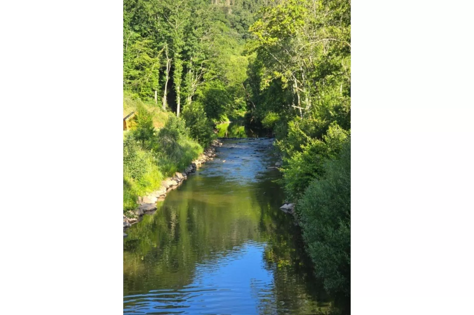 Eifelhütte Campingpark Eifel - Gebieden zomer 5km