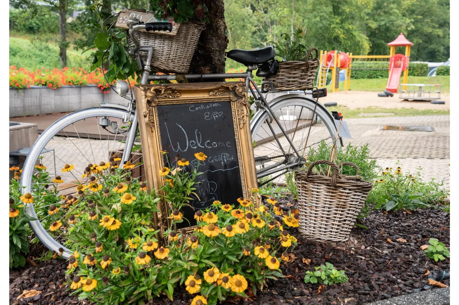 Eifelhütte Campingpark Eifel - Gebieden zomer 5km