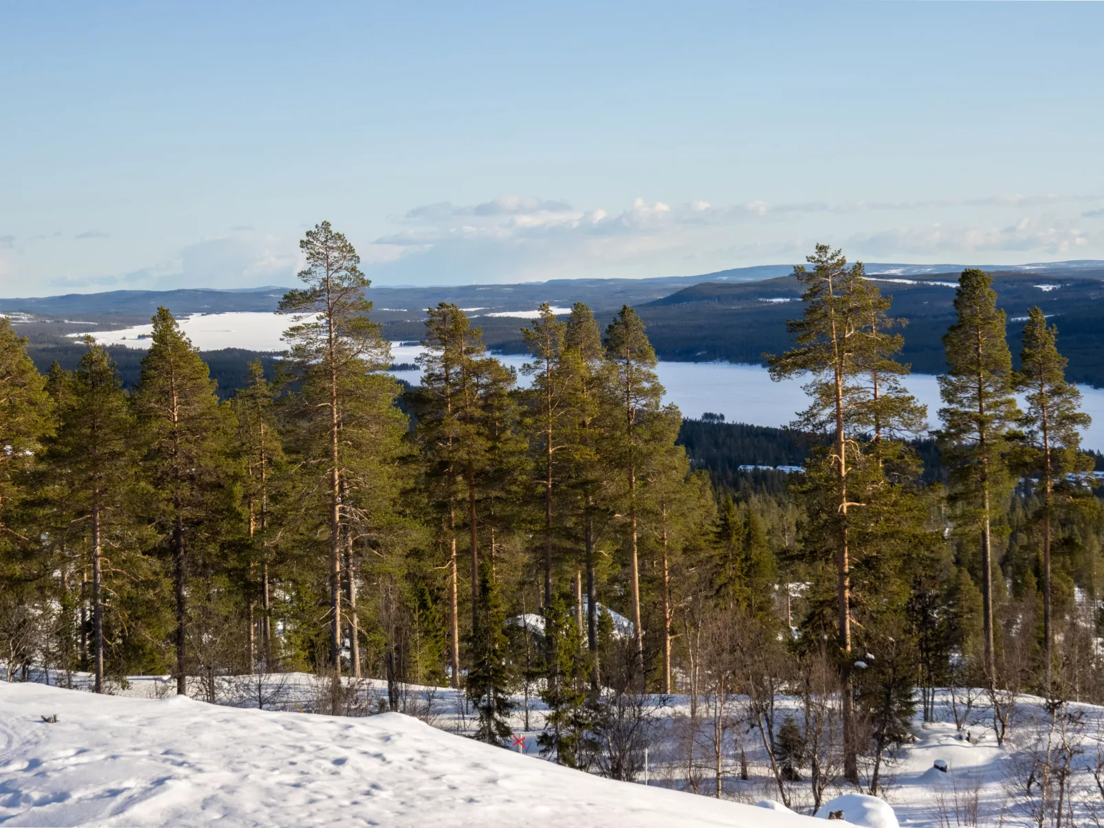 Fjällhemmet - Buiten