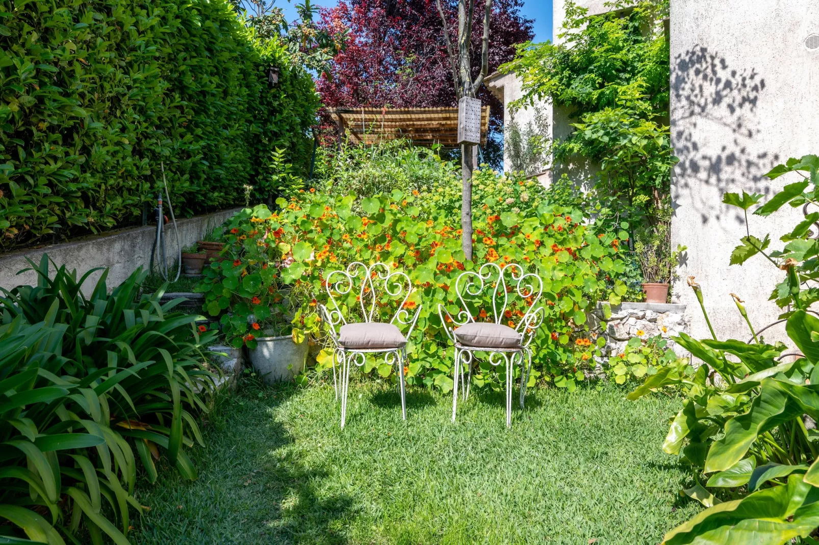 Oasis d'amon - Tuinen zomer