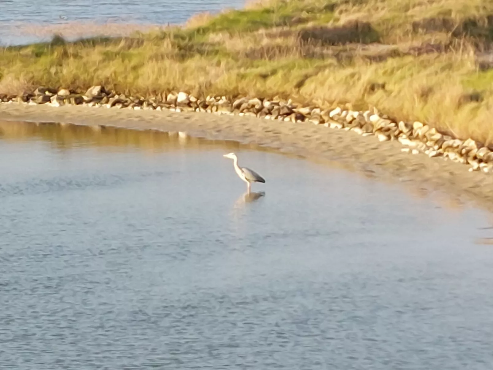 Tranquille en bord de Mer - Omgeving