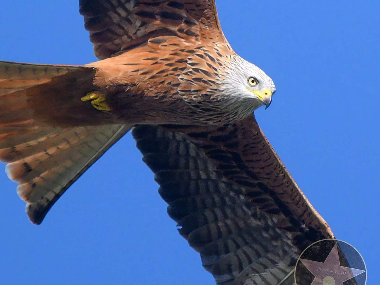 Villa Anna 12B - Binnen