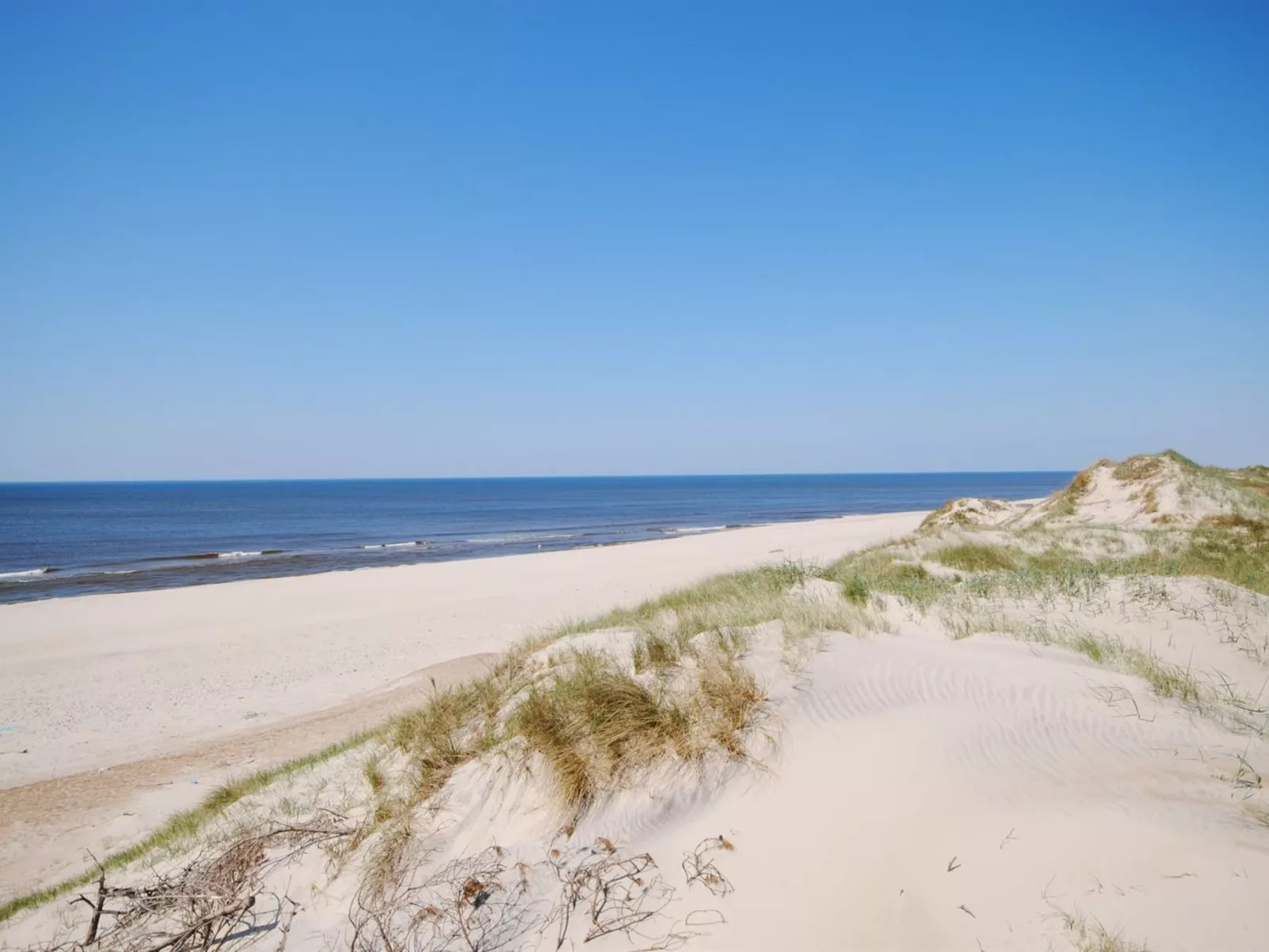 "Laetitita" -  from the sea