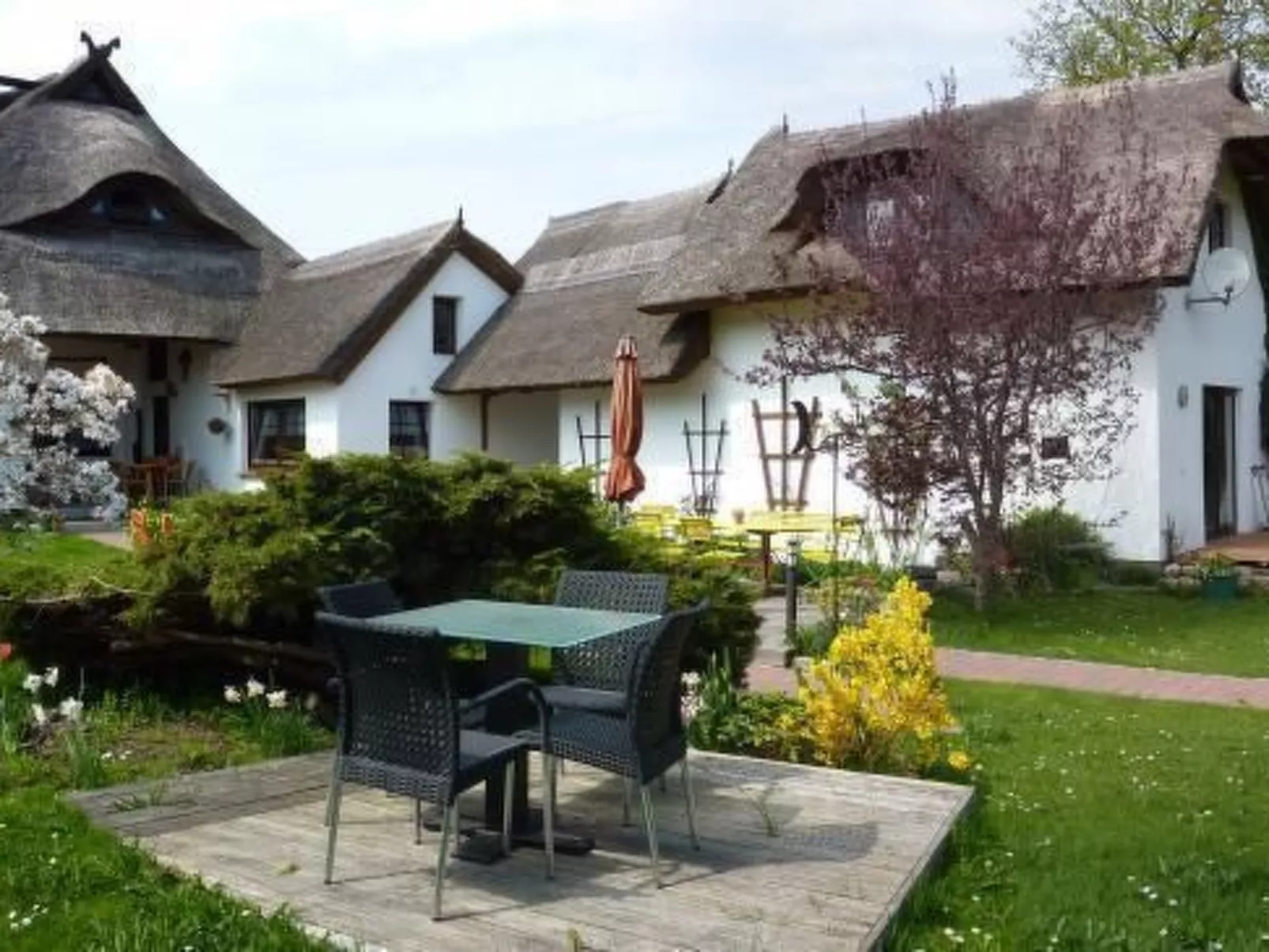 Morgensünn- Nette Wohnung in Althagen mit Terras - Buiten