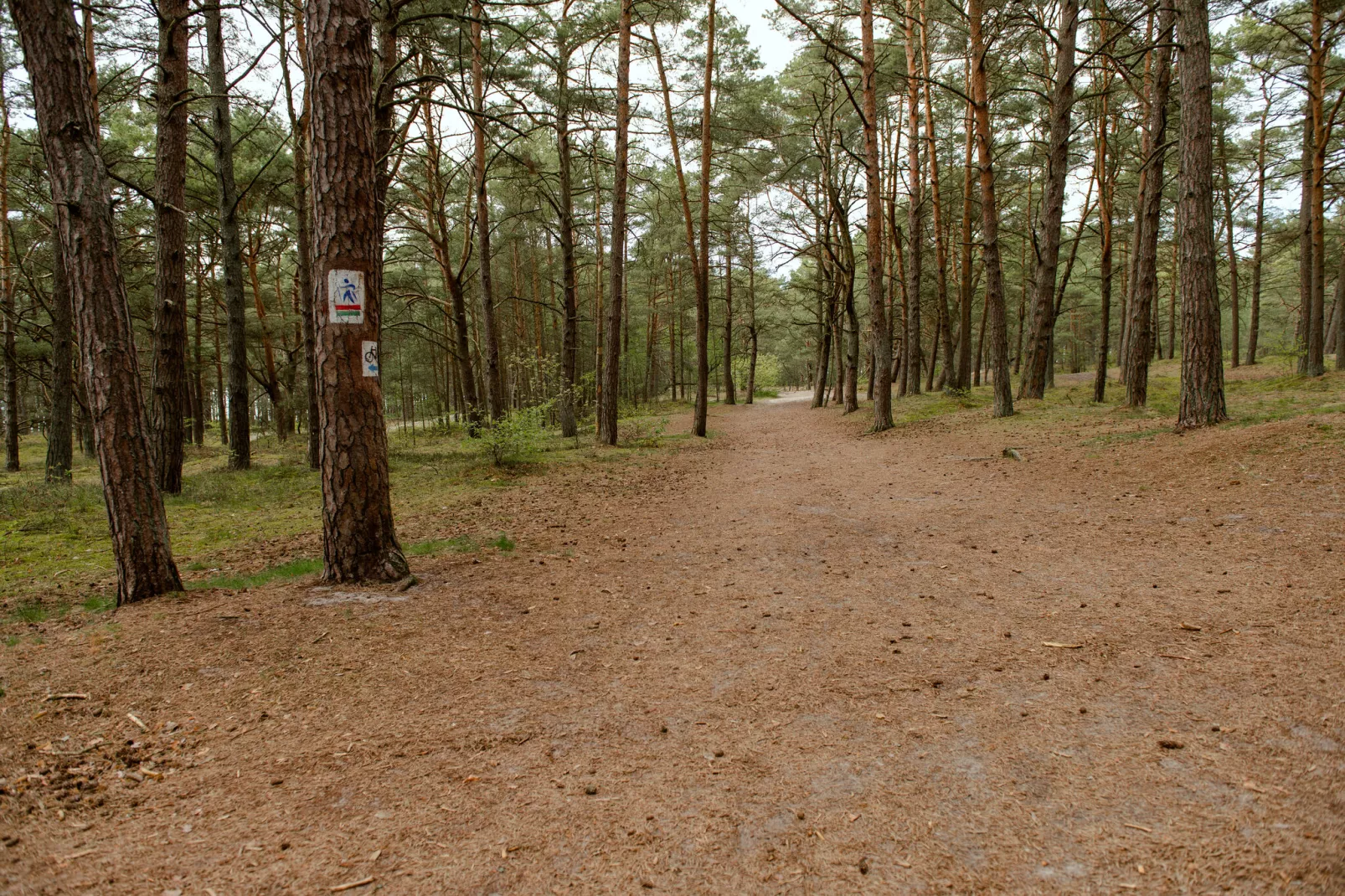 Apartament Leśników 5 a7 Pogorzelica-Gebieden zomer 1km