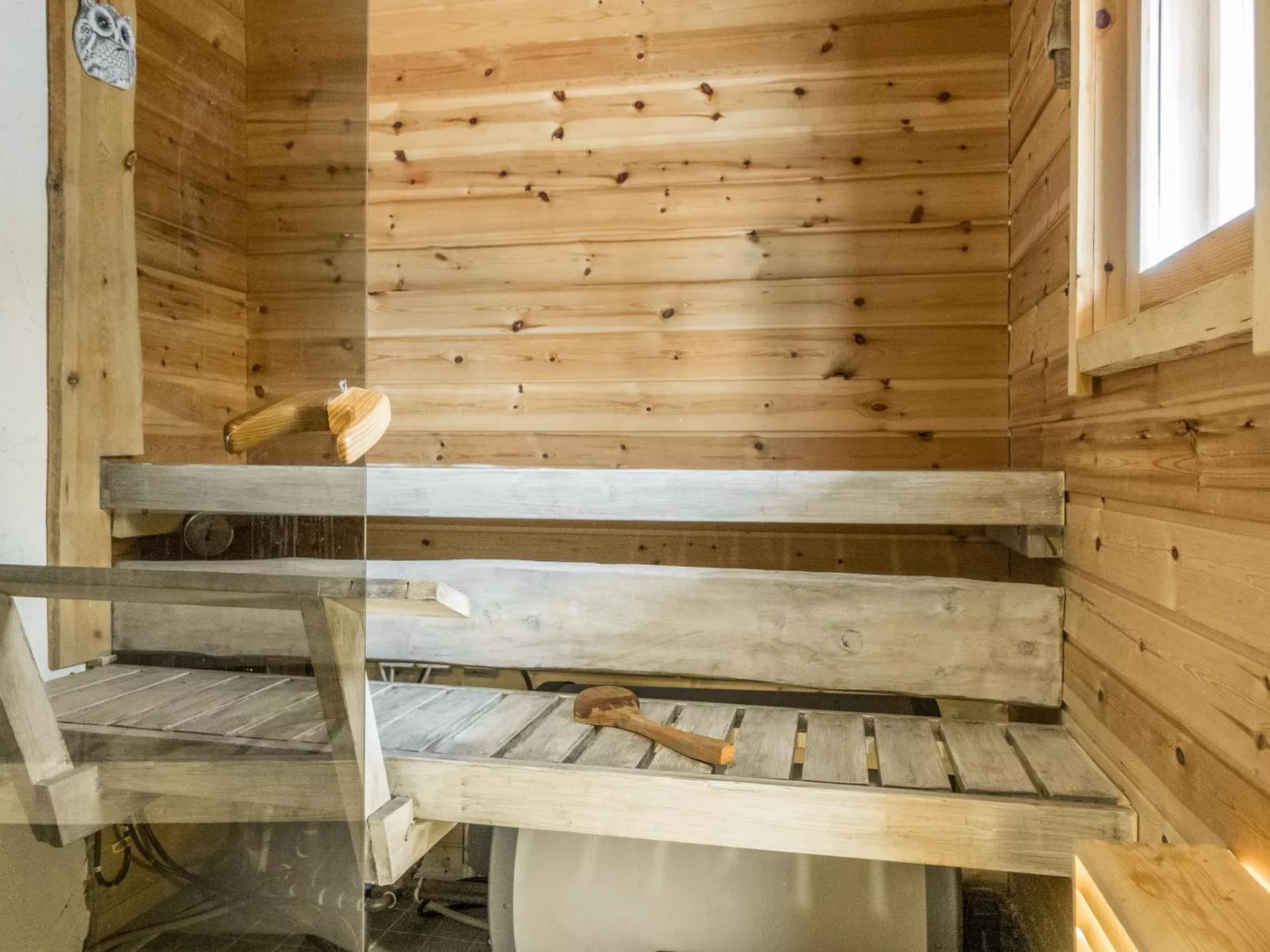 Pikkupöllö - Binnen