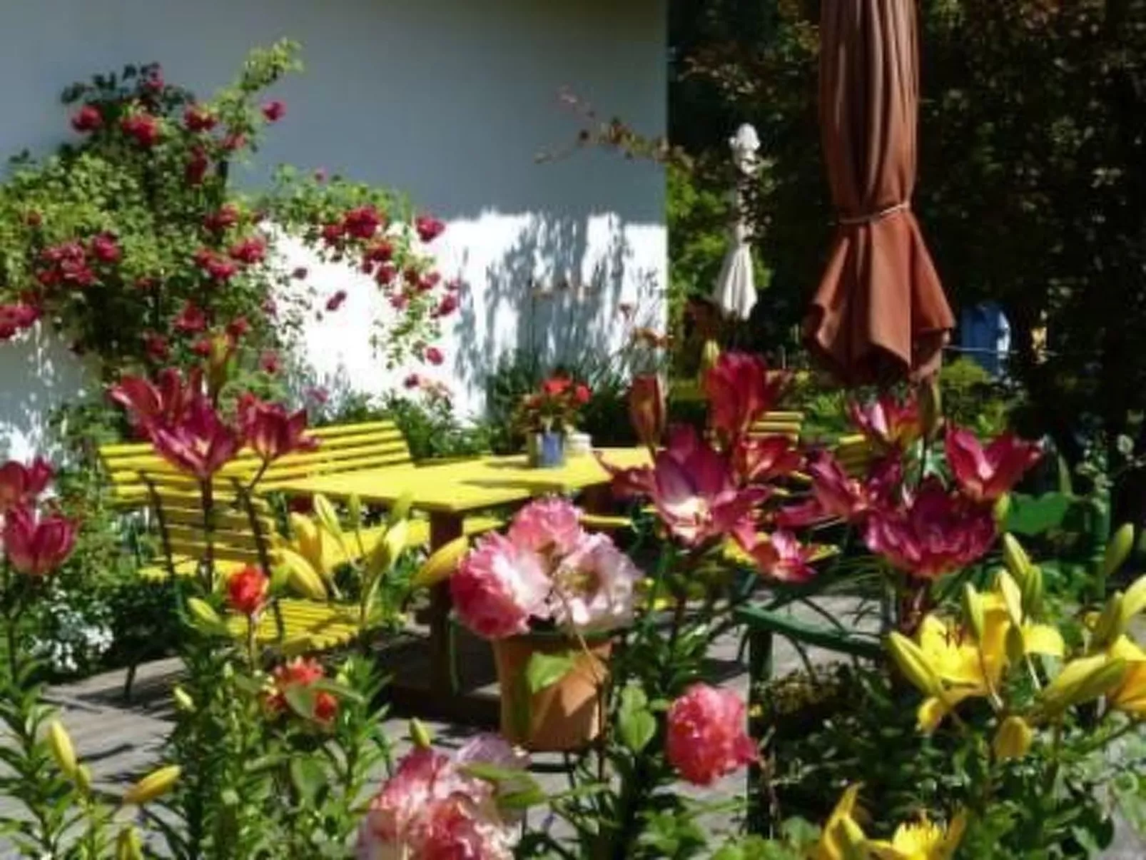 Morgensünn- Nette Wohnung in Althagen mit Terras - Buiten