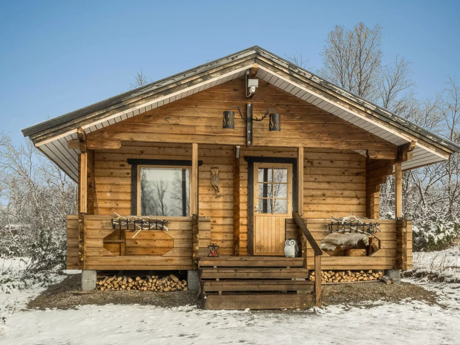 Pikkupöllö - Binnen