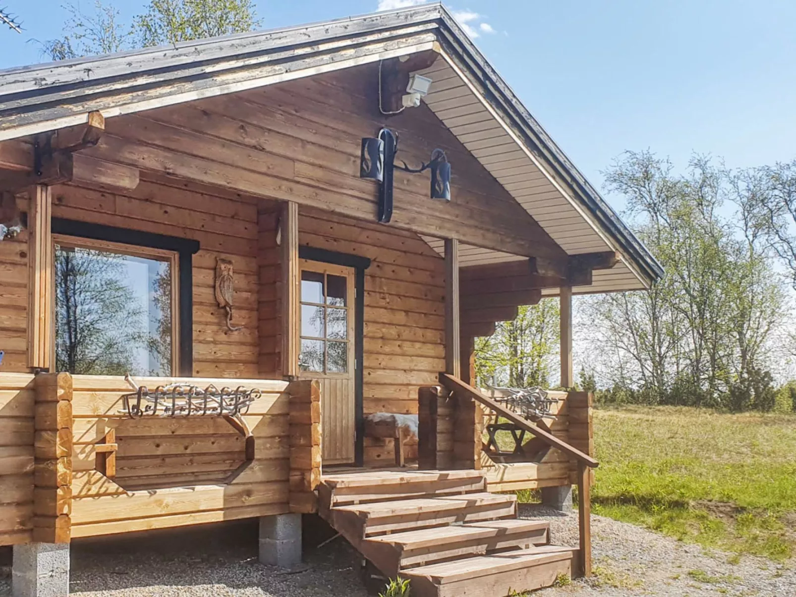 Pikkupöllö - Binnen