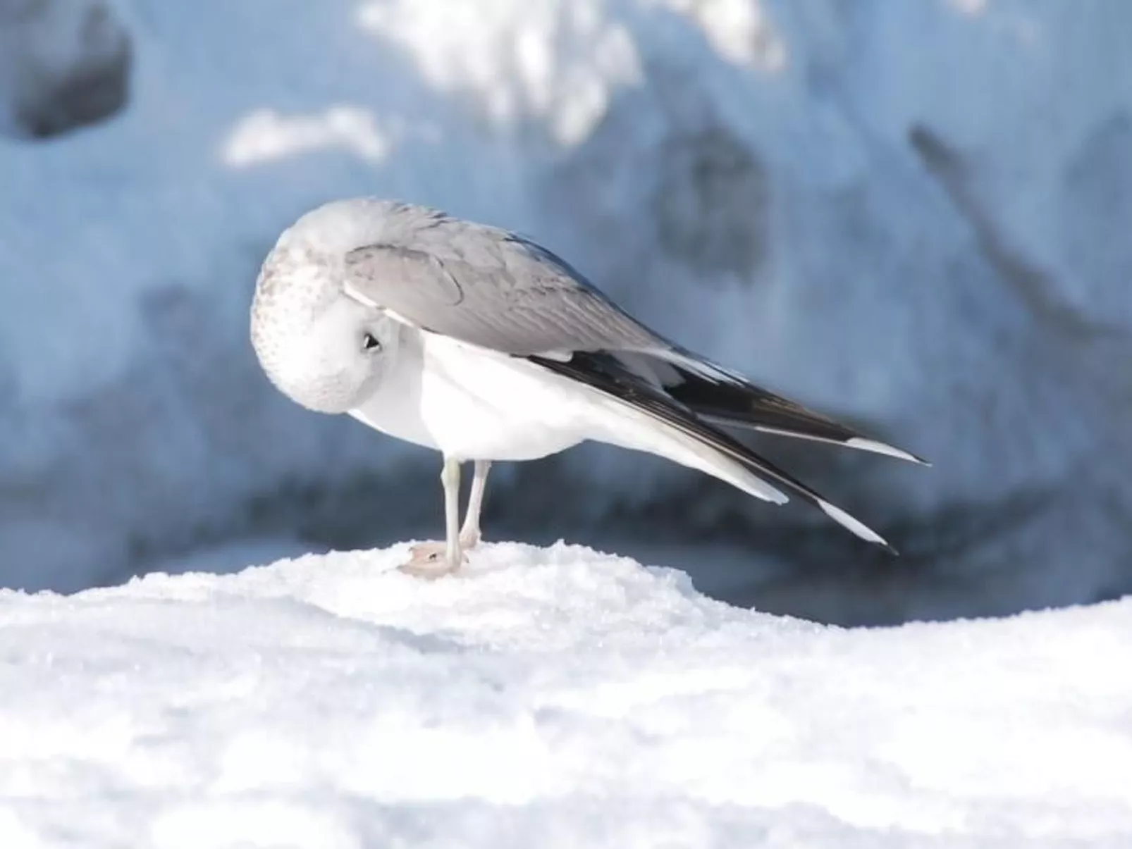 Morgensünn- Nette Wohnung in Althagen mit Terras - Image-tags.info