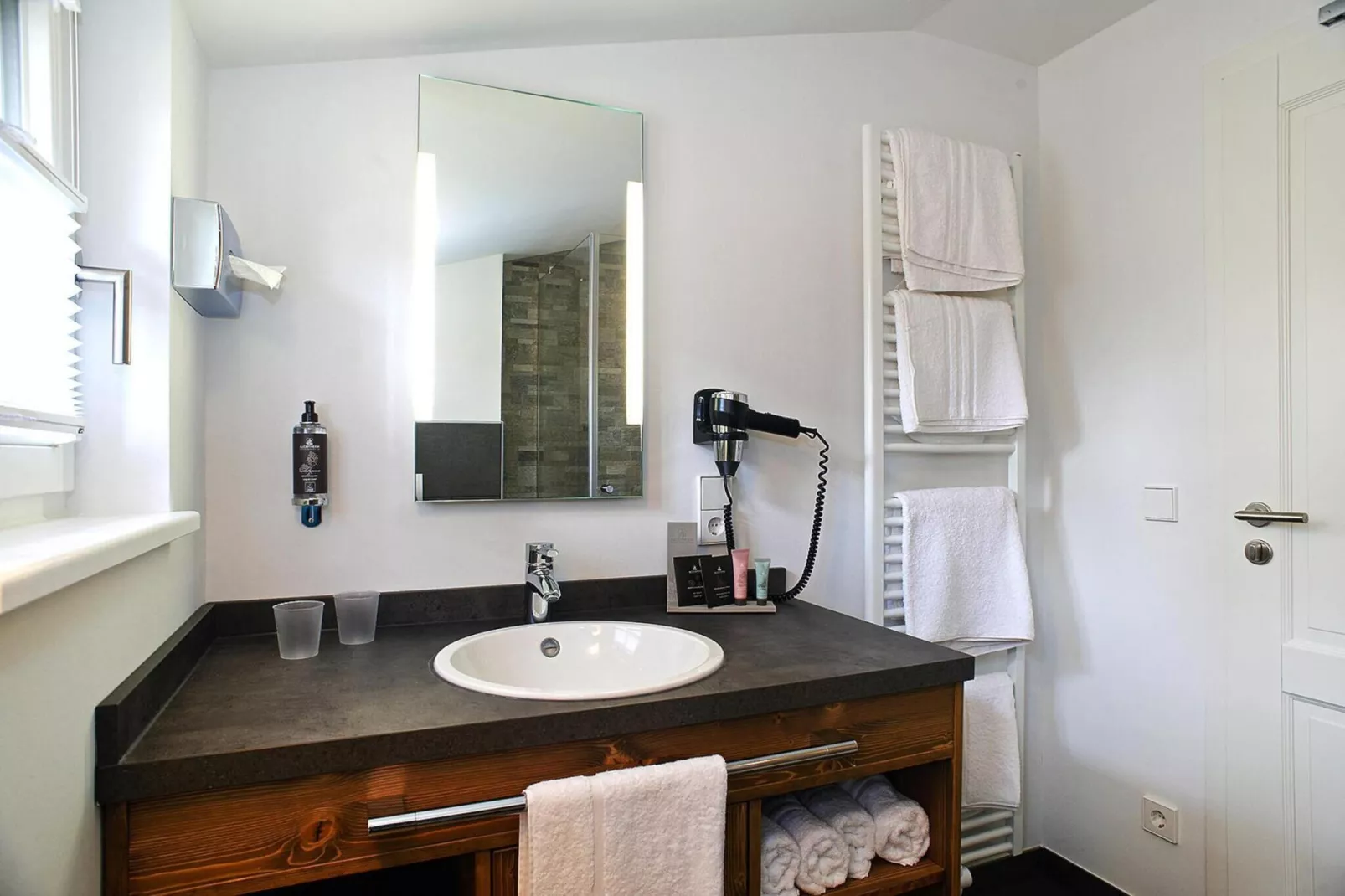 Ferienhaus Typ Premium Lodge Plus 5 Personen - Badkamer