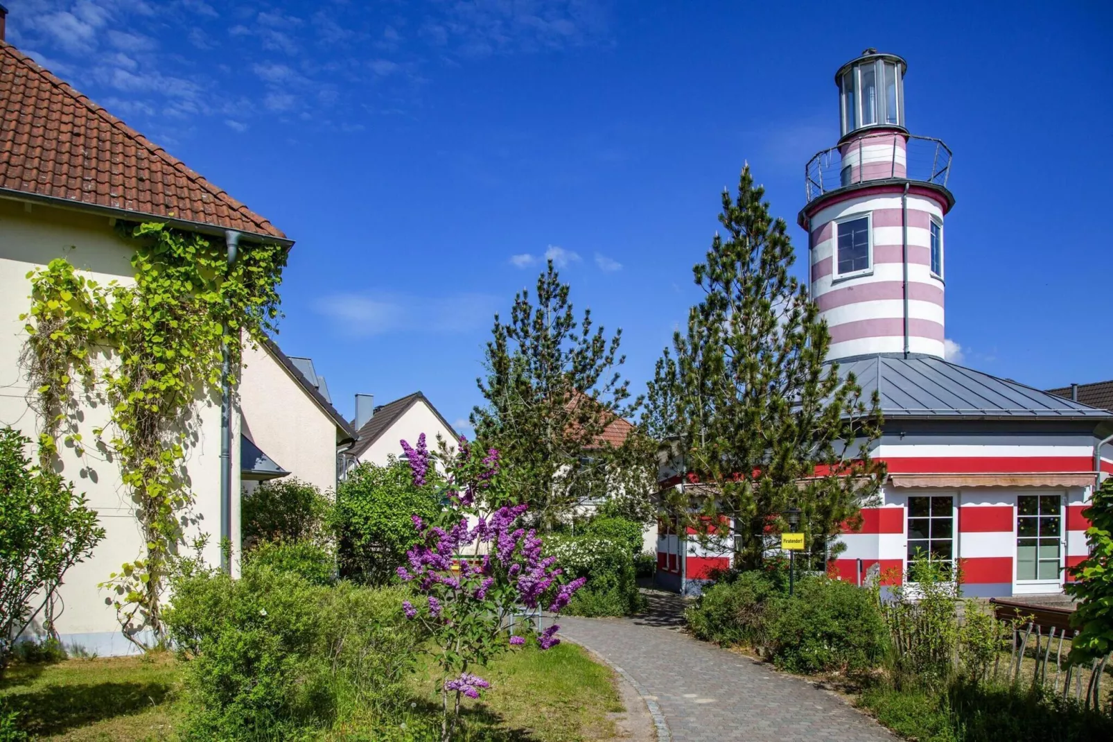 BEECH Resort Fleesensee in Göhren-Lebbin - Buitenkant zomer