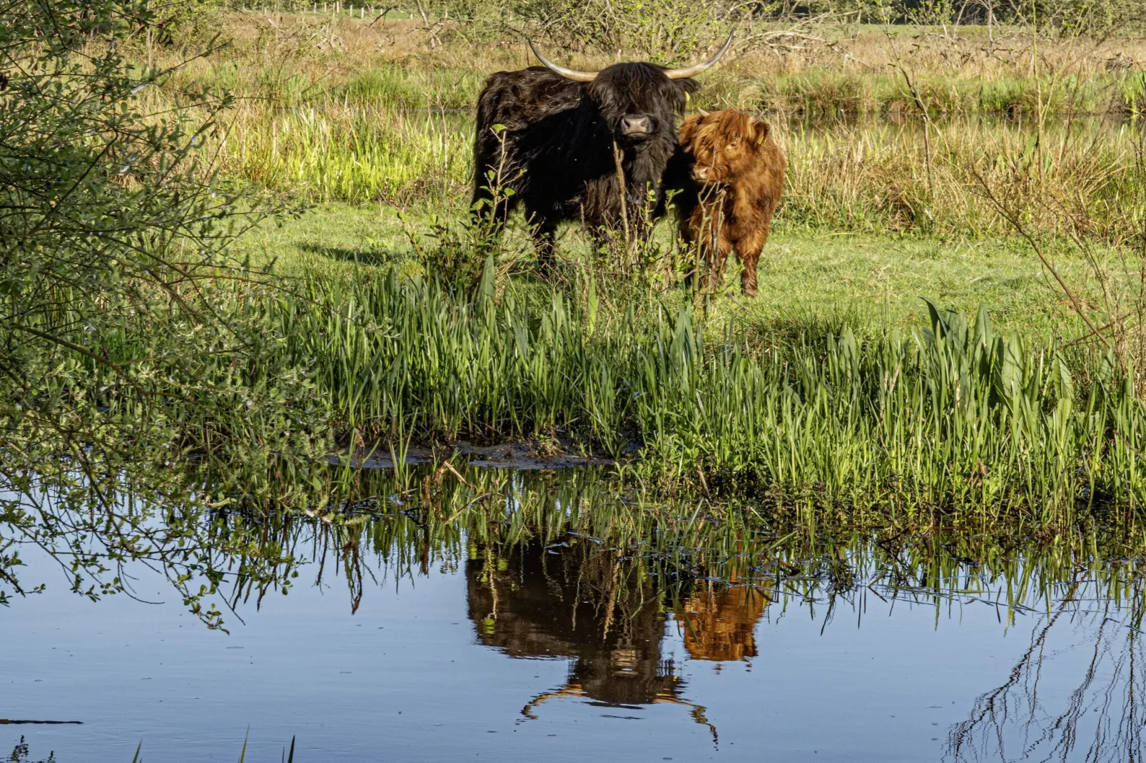 Malta 7C- Ground - Gebieden zomer 1km