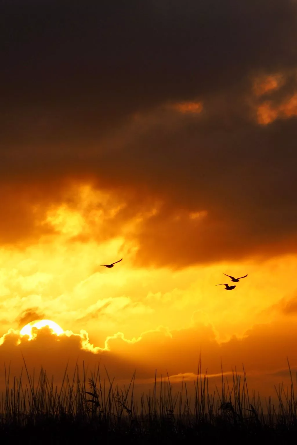 Morgensünn- Nette Wohnung in Althagen mit Terras - Buiten