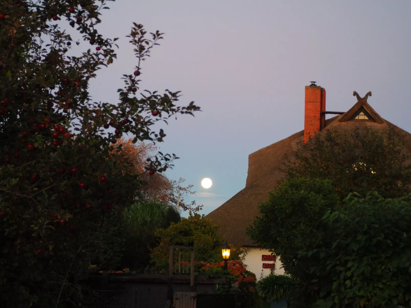 Morgensünn- Nette Wohnung in Althagen mit Terras - Buiten