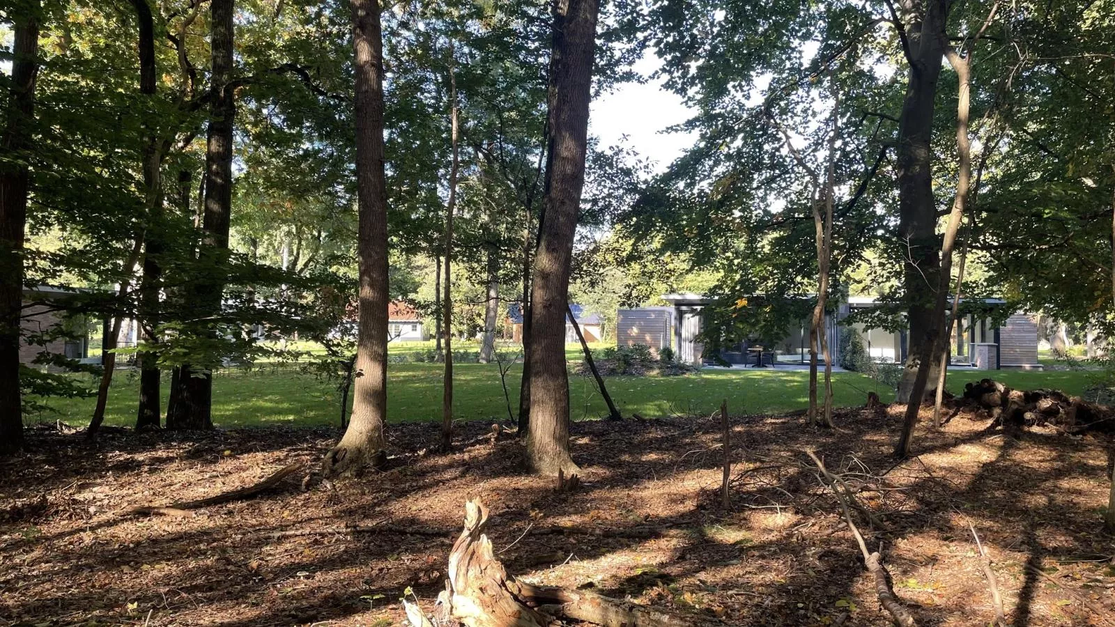 De Douglas - Uitzicht zomer