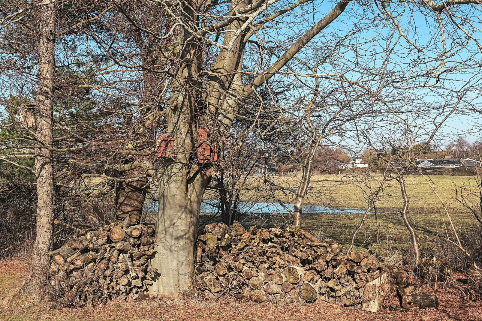 6 persoons vakantie huis in Karrebæksminde