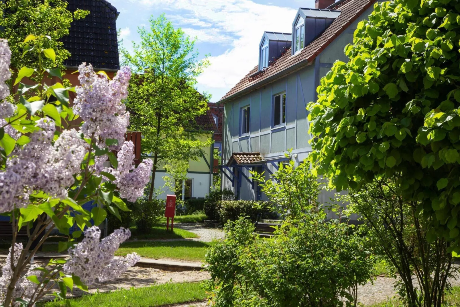 BEECH Resort Fleesensee in Göhren-Lebbin - Tuinen zomer