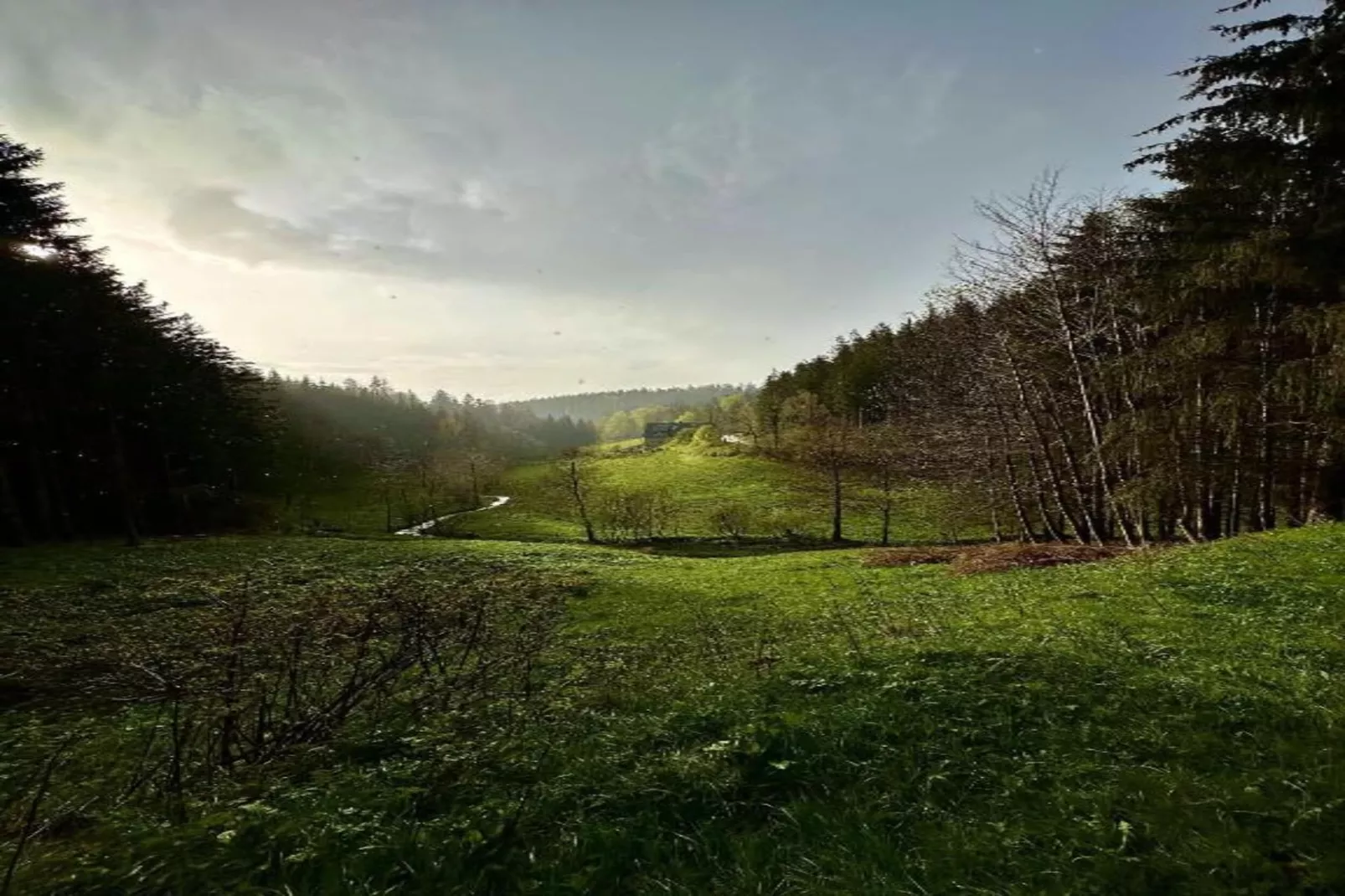 Gütenbach - Gebieden zomer 20km