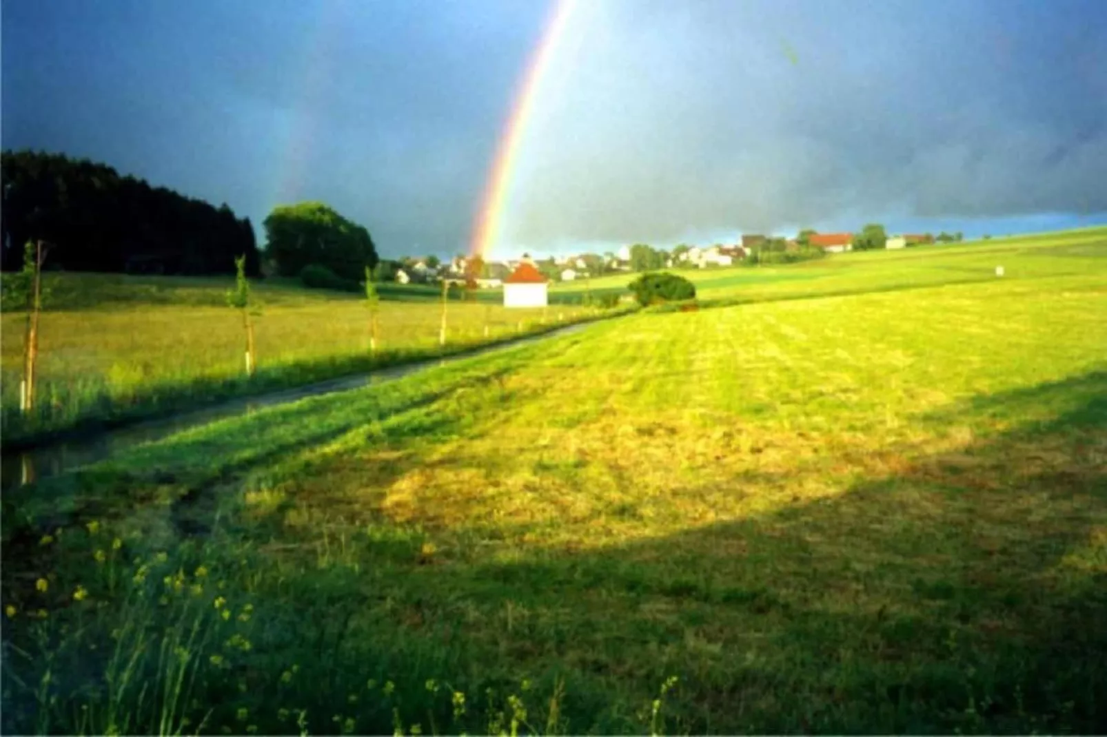 Gütenbach - Gebieden zomer 20km