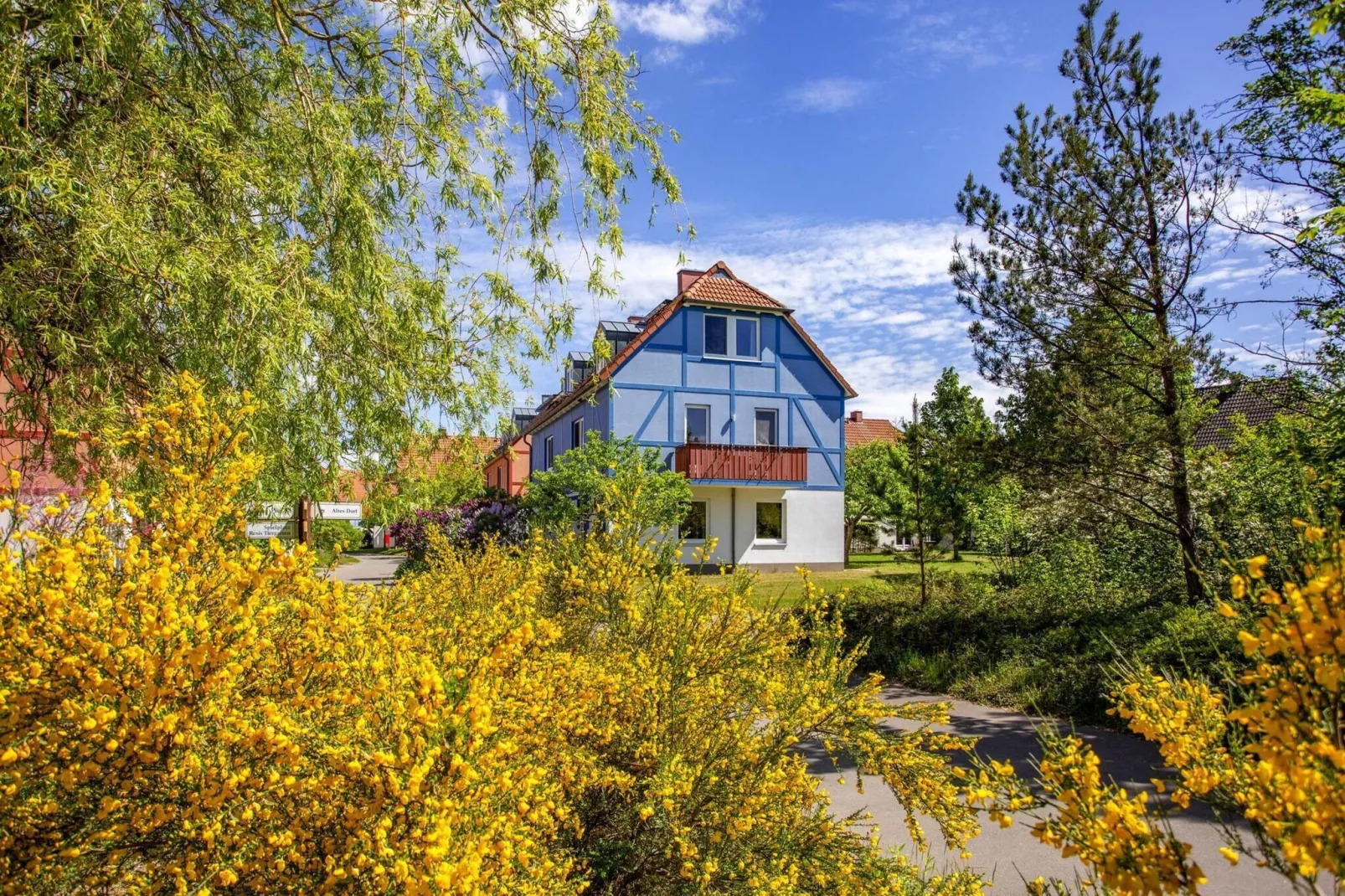 BEECH Resort Fleesensee in Göhren-Lebbin - Uitzicht zomer