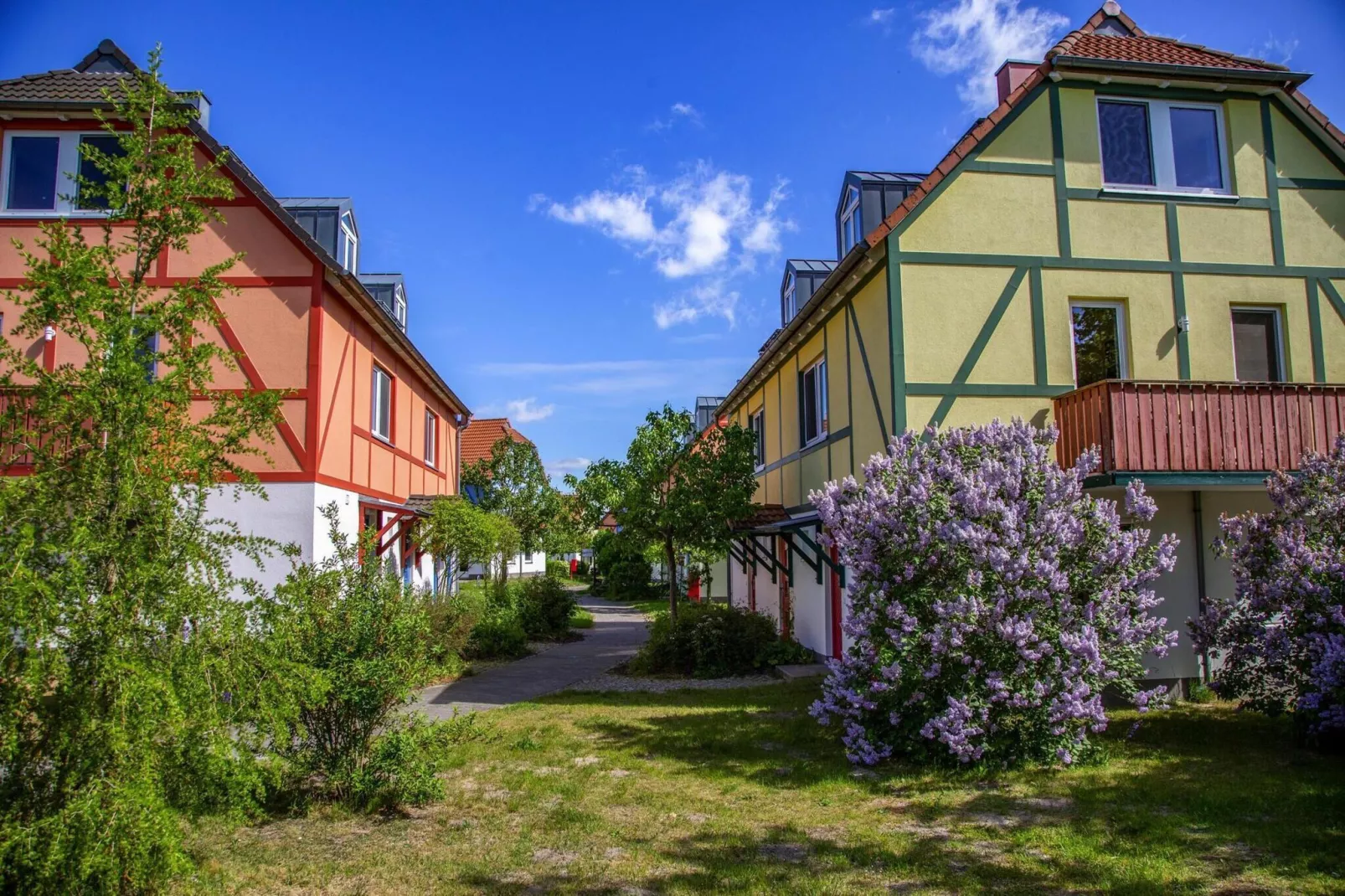 BEECH Resort Fleesensee in Göhren-Lebbin - Uitzicht zomer