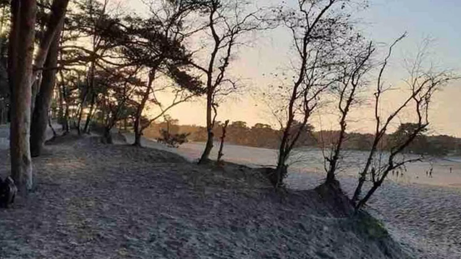 De Douglas - Gebieden zomer 5km