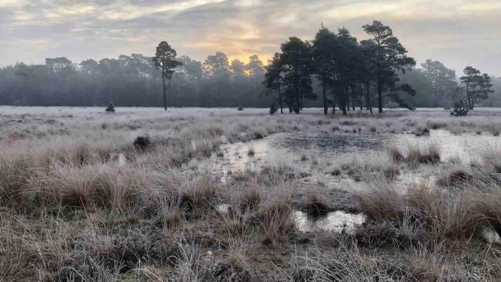De Douglas - Gebieden zomer 5km