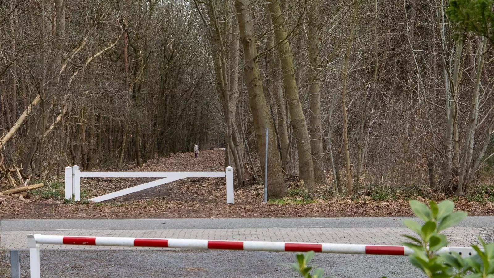 Het Hertenpad - Gebied winter 20km