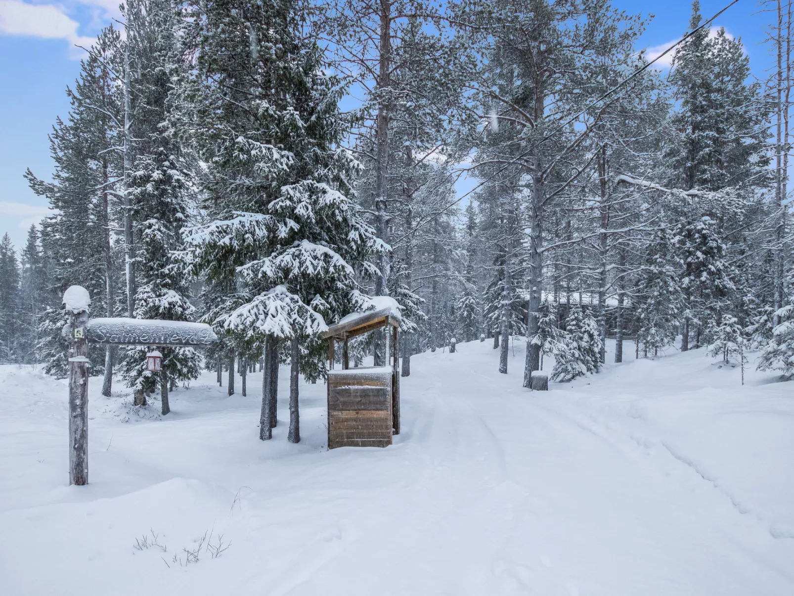 Salmentieva 2 - Binnen