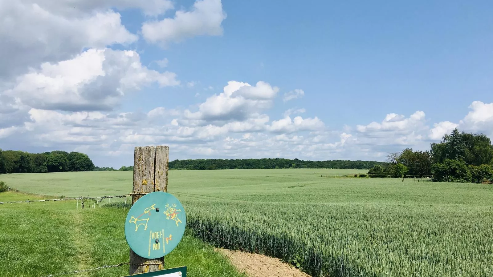 Logeren bij Laura - Uitzicht zomer