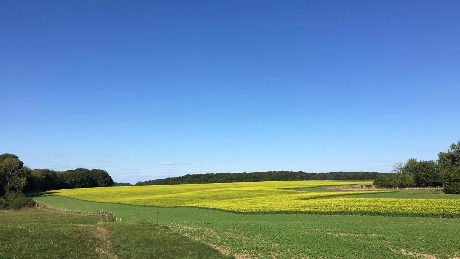 Logeren bij Laura - Uitzicht zomer