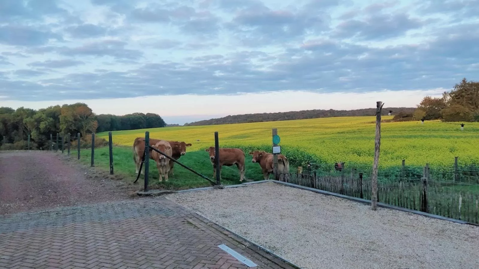 Logeren bij Laura - Uitzicht zomer