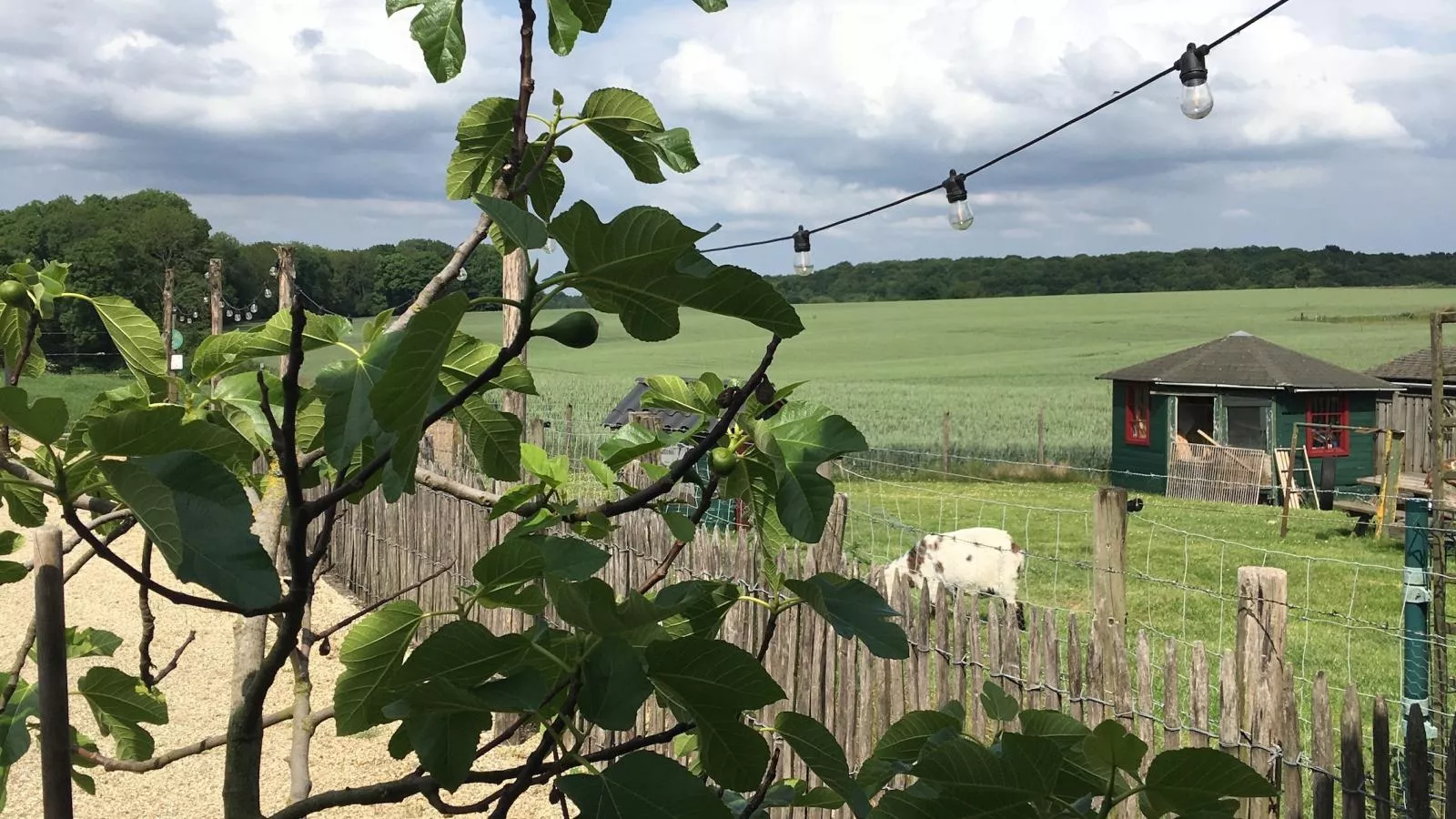 Logeren bij Laura - Uitzicht zomer