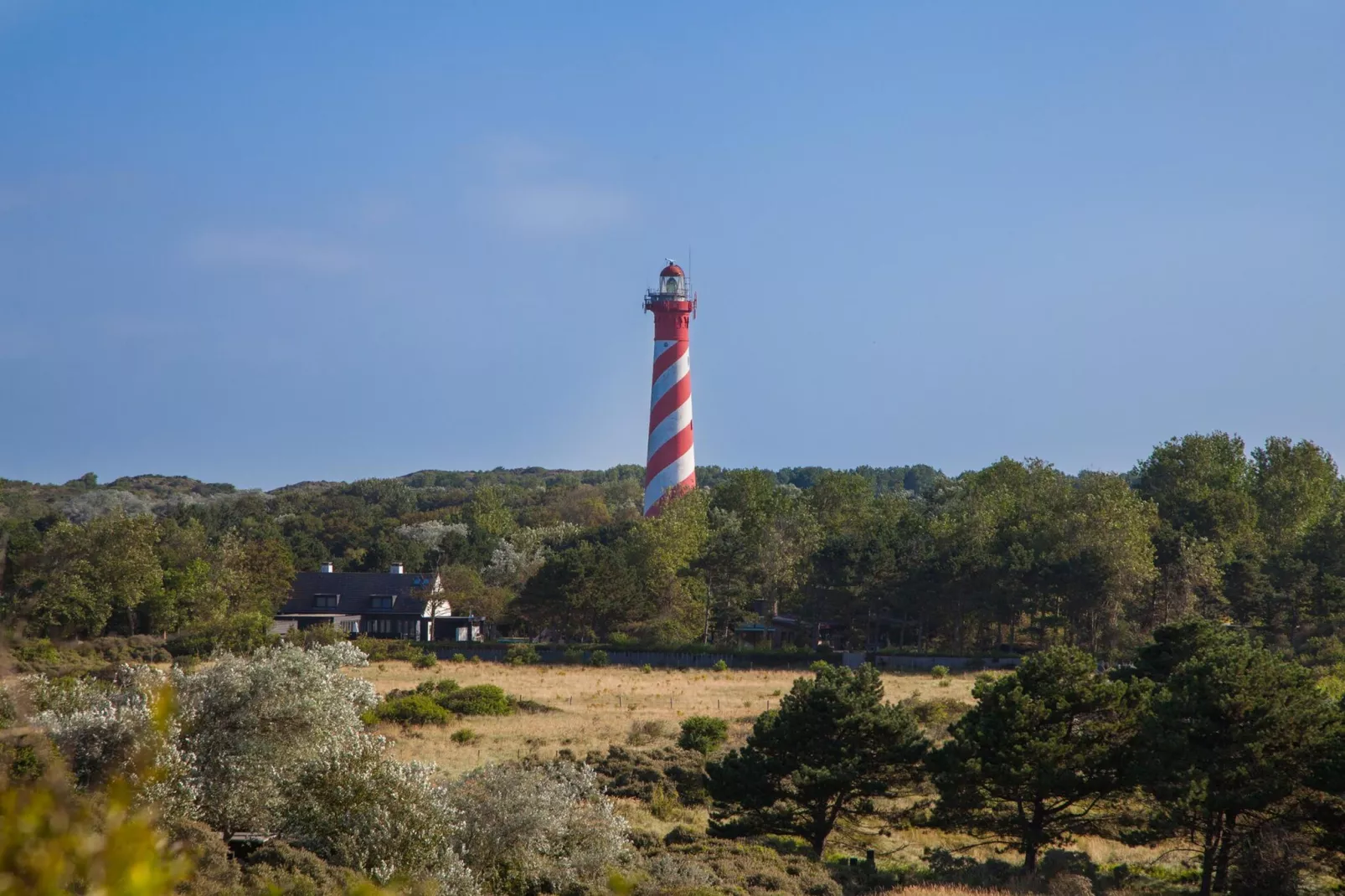 Duinhoeve Duinlodges 2 pers (huisdiervriendelijk) - Gebieden zomer 5km