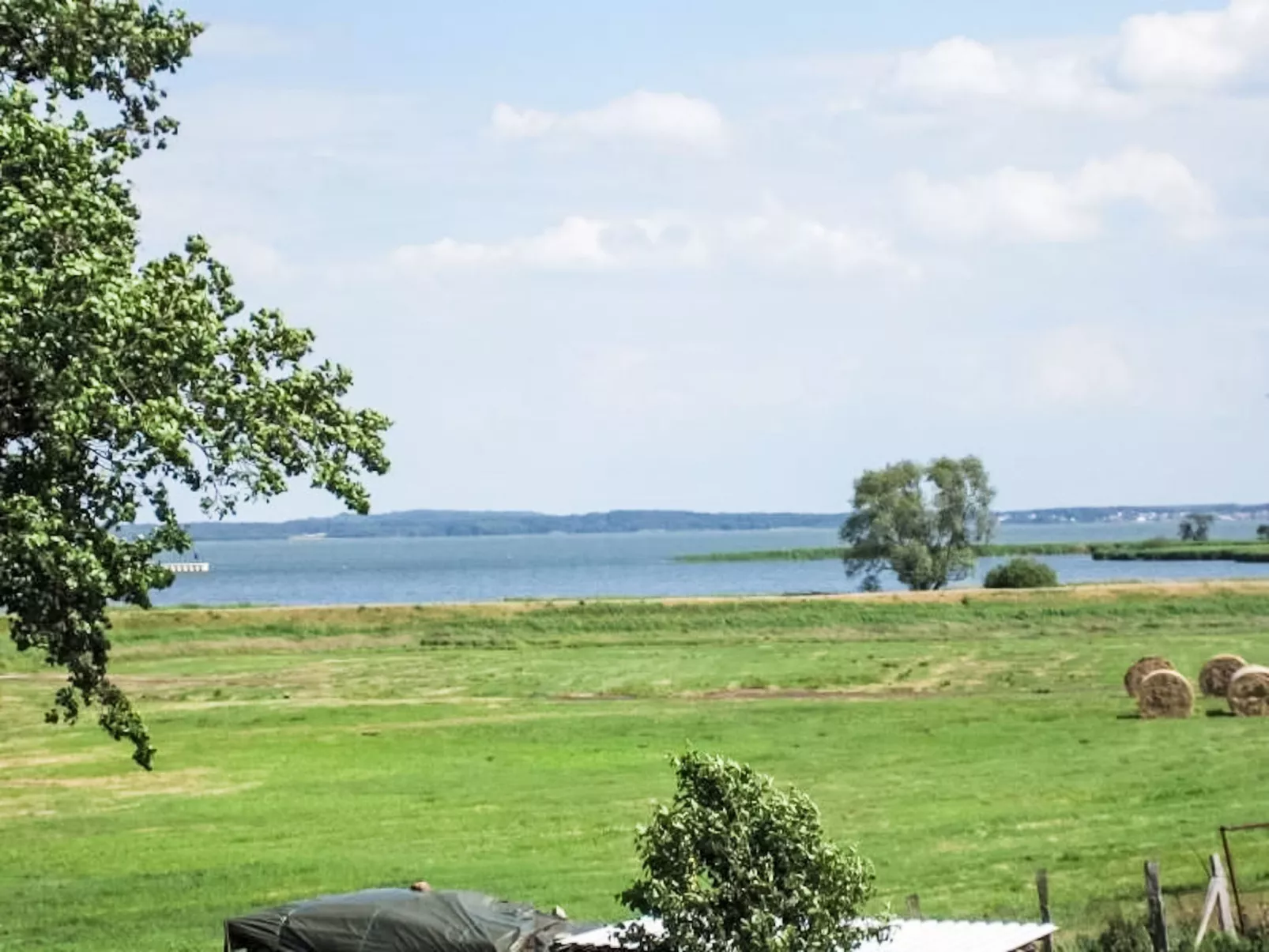 Yachtwieck - Binnen