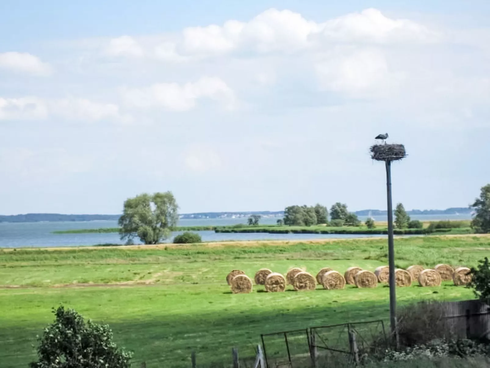 Yachtwieck - Binnen
