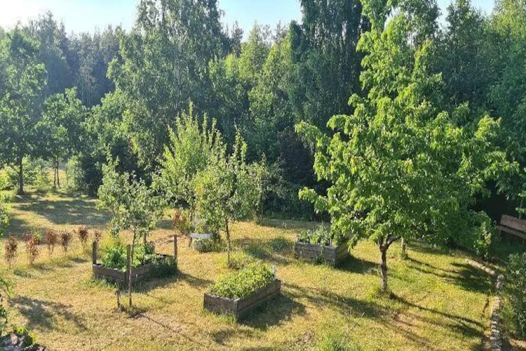 Dom wakacyjny z basenem w Kielnie - Tuinen zomer