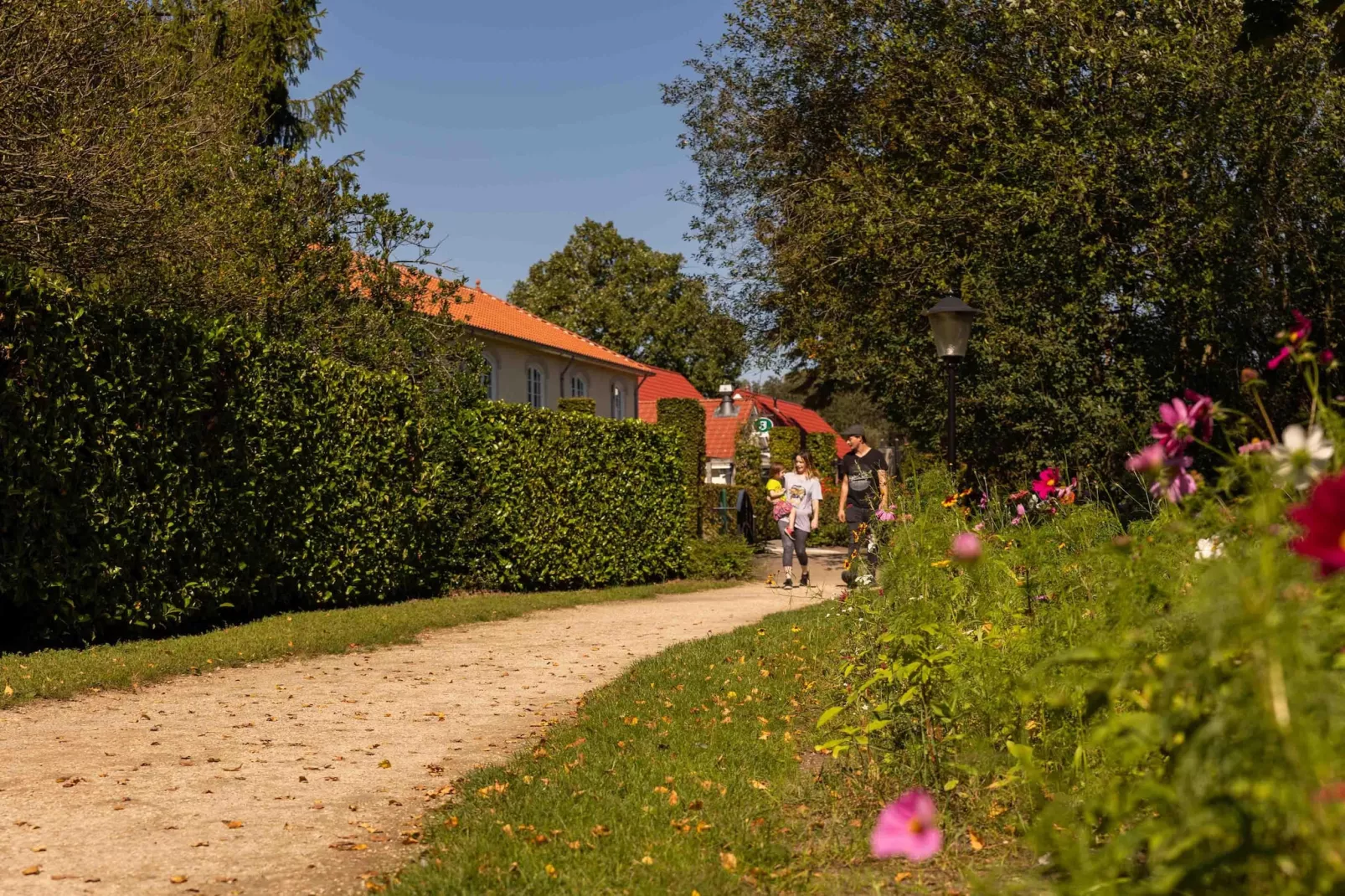 Parc Duc de Brabant 6 - Gebieden zomer 1km