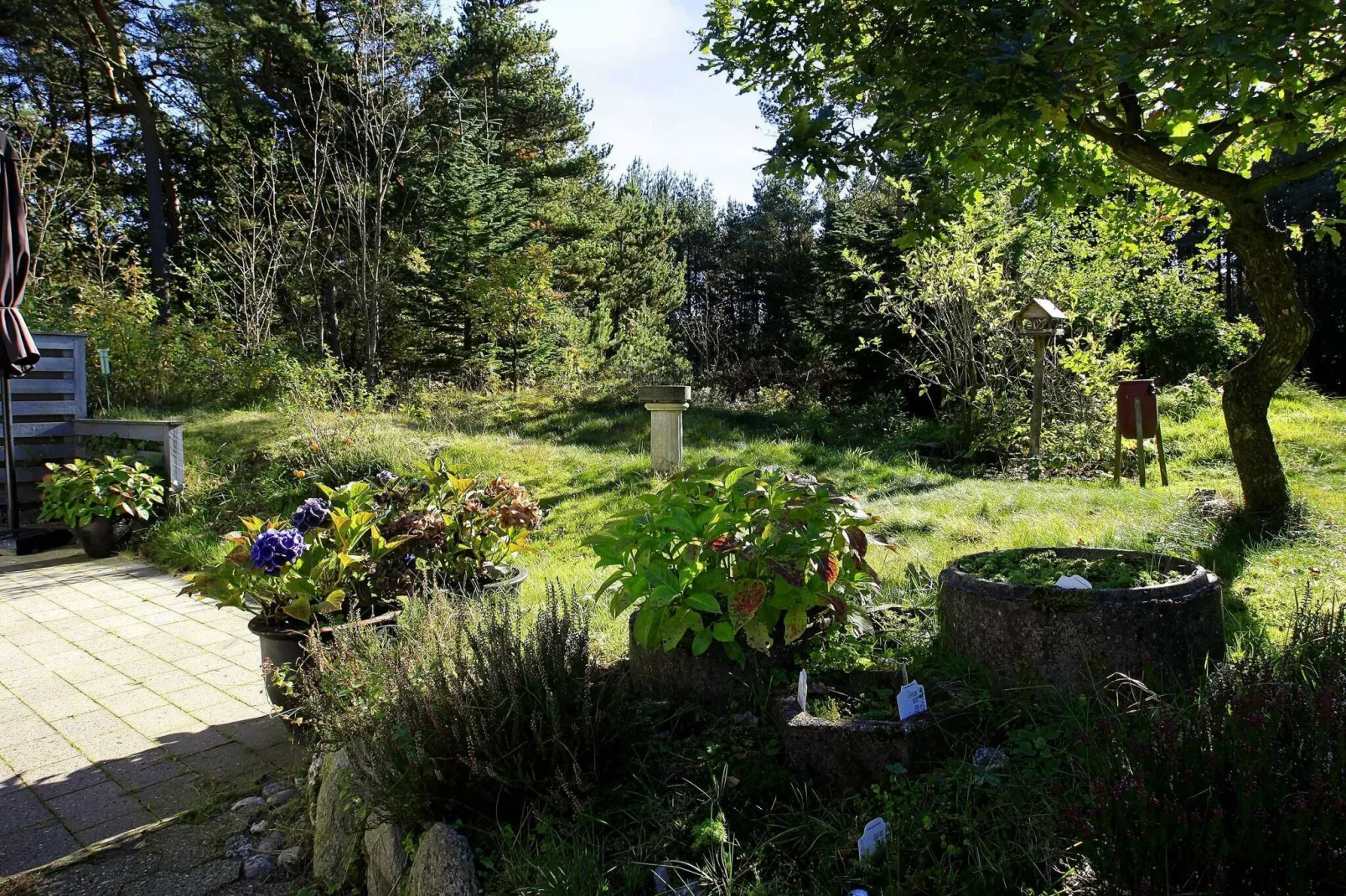 5 persoons vakantie huis in Hals-By Traum-Uitzicht