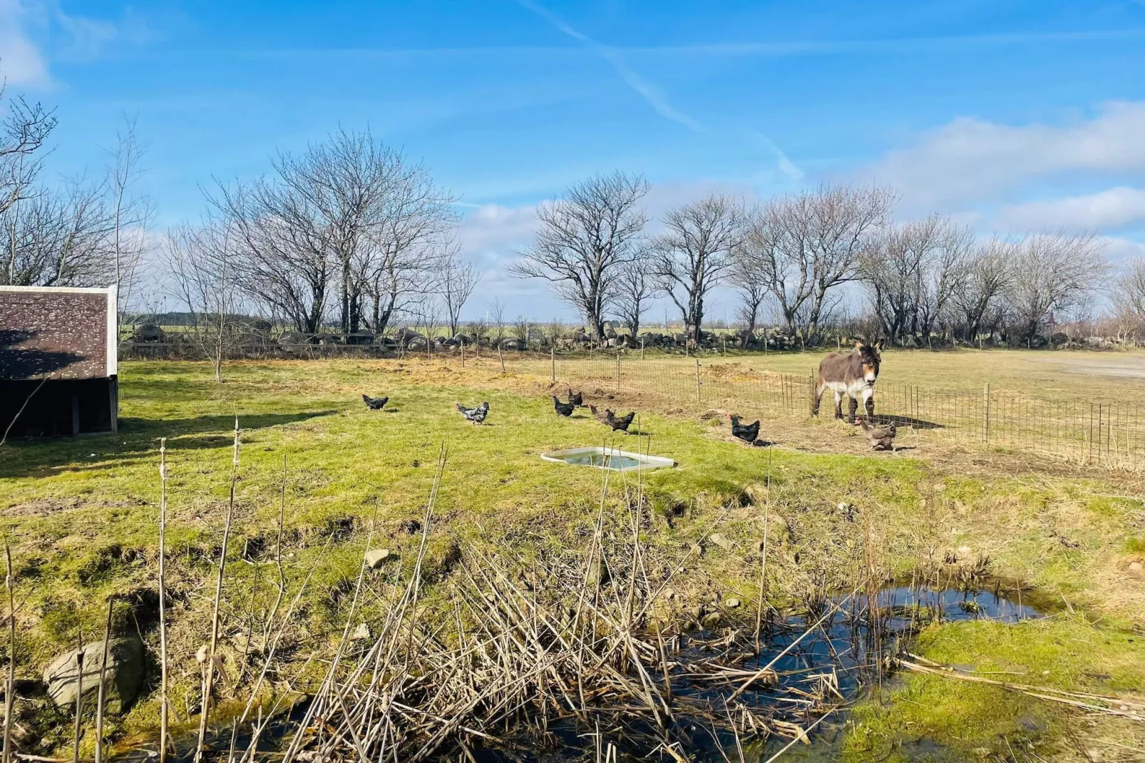 4 Personen vakantie huis in TOMELILLA