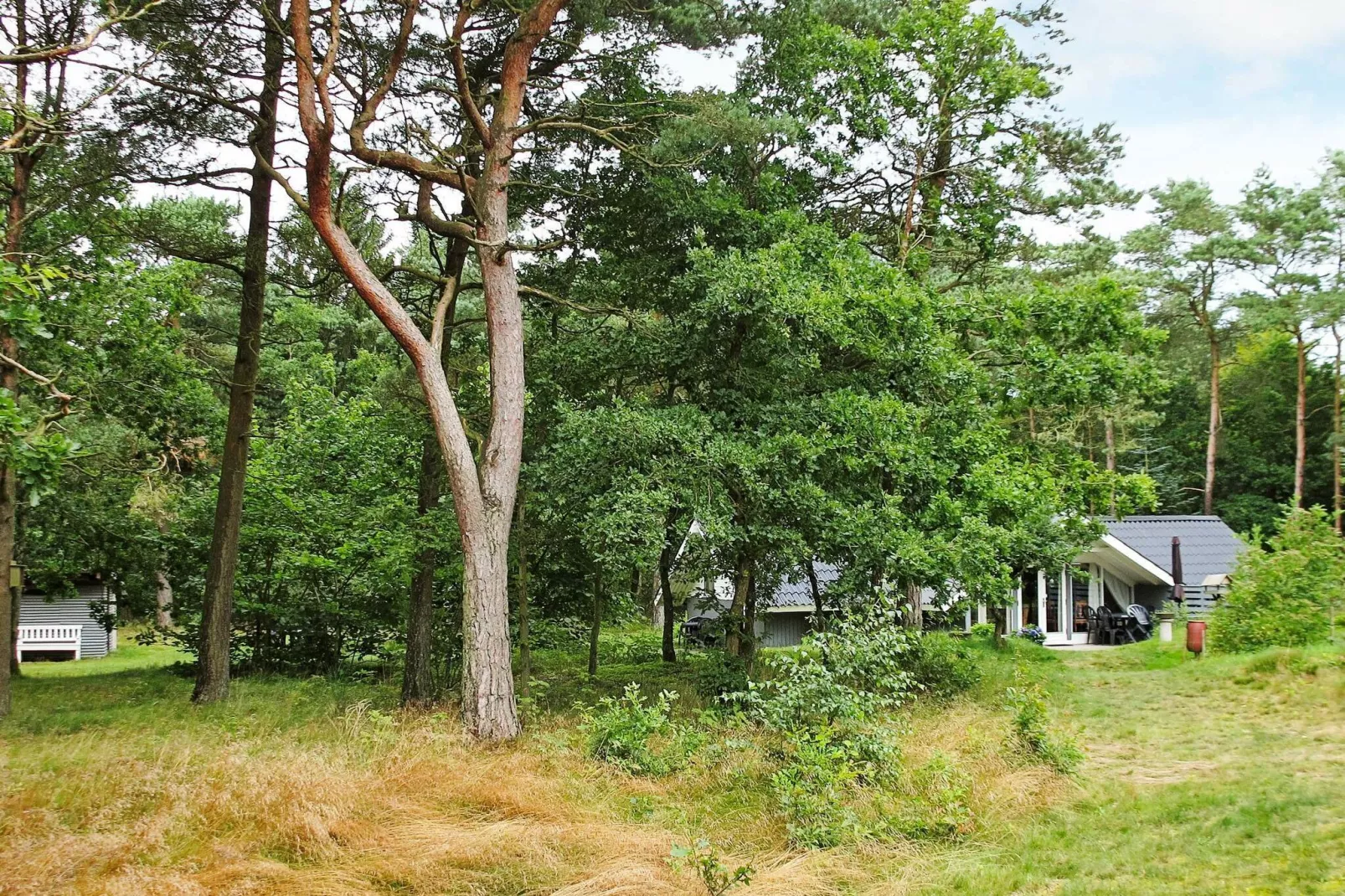 Rustig gelegen vakantiehuis in Hals met terras-Uitzicht