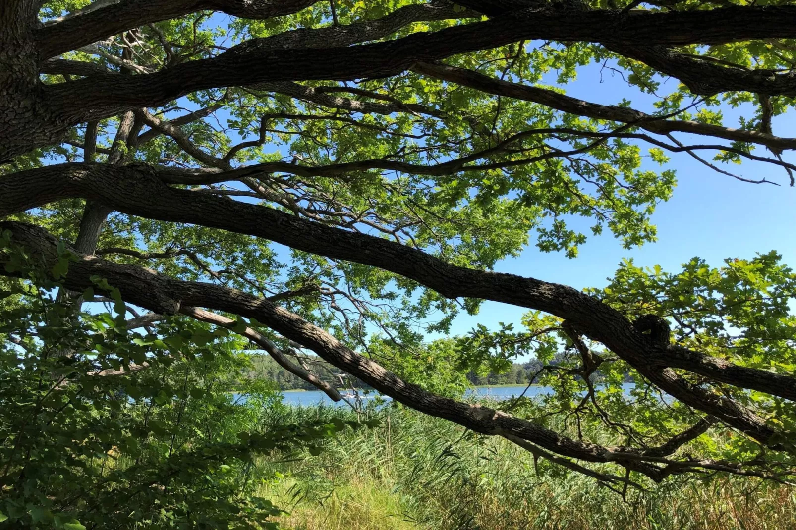 4 sterren vakantie huis in SORUNDA - Buitenlucht