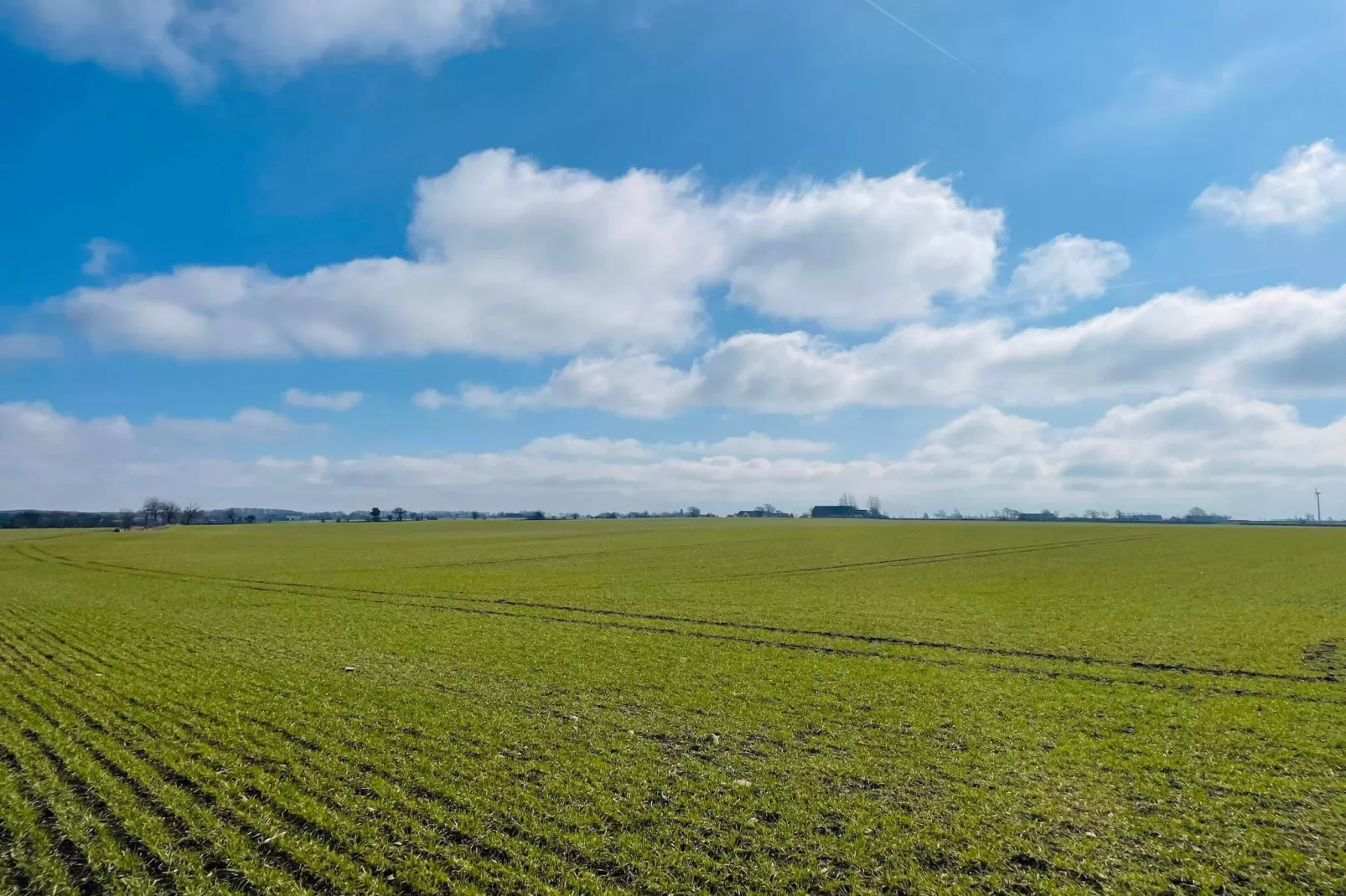 4 Personen vakantie huis in TOMELILLA - Buitenlucht