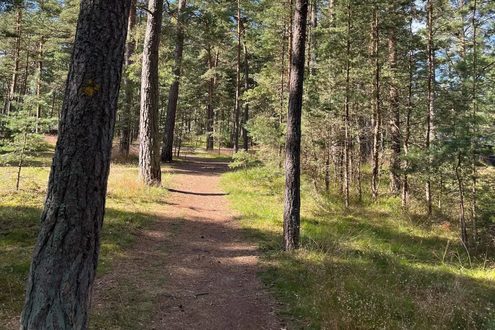 4 sterren vakantie huis in YNGSJÖ, SVERIGE - Buitenlucht