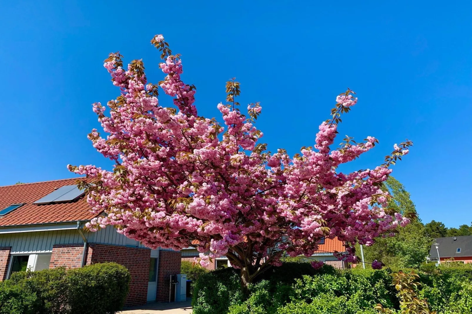 Müritzzeit - Buitenkant zomer