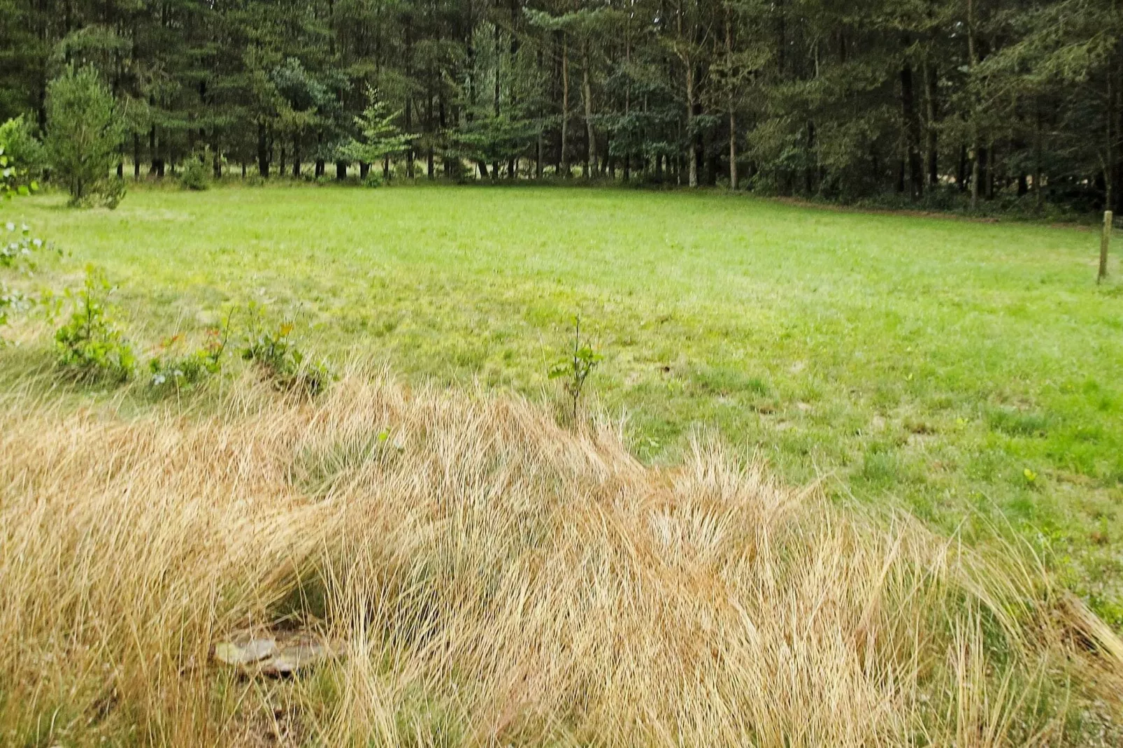 Rustig gelegen vakantiehuis in Hals met terras-Uitzicht