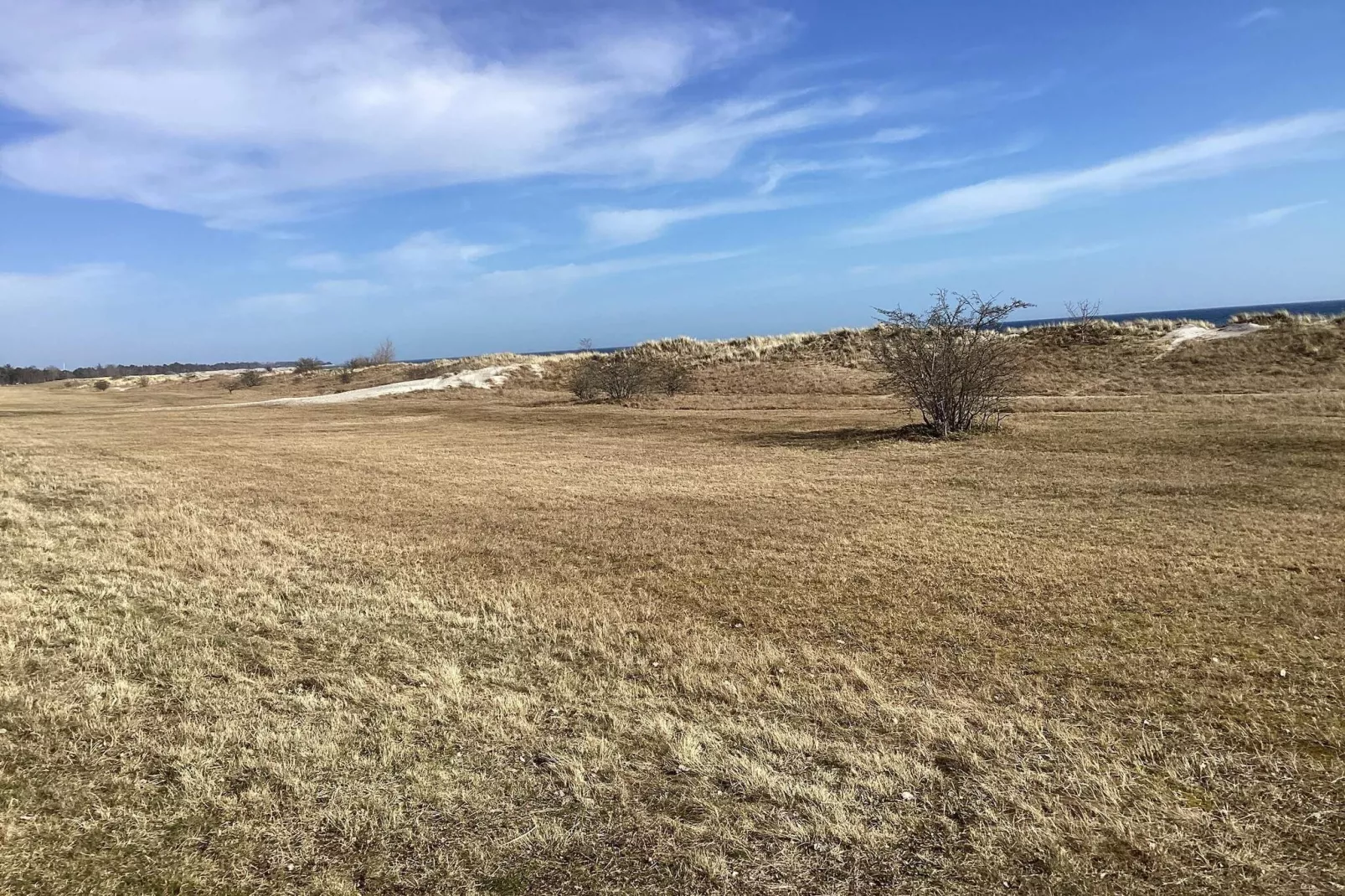 4 sterren vakantie huis in Væggerløse - Buitenlucht